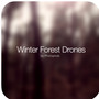 Winter Forest Drones