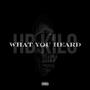 What You Heard (Explicit)