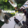 Sorrisos & Flores