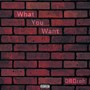 What You Want (Explicit)