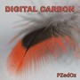 Digital Carbon