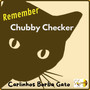 Remember Chubby Checker