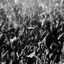 Moshpit Music (Explicit)