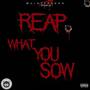 Reap What You Sow (Explicit)