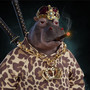 Hippos Are Cool (Explicit)
