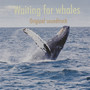 Waiting for Whales (Original Soundtrack)