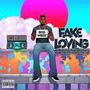 Fake Lovingg