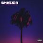 AMNESIA (feat. Kish)