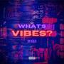 What's The Vibes Freestyle (Explicit)