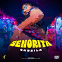 Senorita (Explicit)