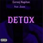 DETOX (feat. Zoom) [Explicit]