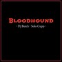 Bloodhound (feat. Solo Cupp)