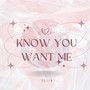 Know You Want Me (feat. Selin)