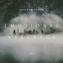 Emotional Wreckage (Explicit)