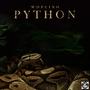 PYTHON (Explicit)