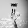 Halelu (feat. Lipa Schmeltzer & Yitzchak Fuchs) [Radio Edit]