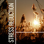 Stress Reduction - Meditation, Reiki, Perfect Harmony, Serenity Spa, Background Music for Wellness