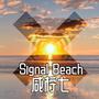 Signal Beach