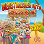 Bierstrassen Hits 2013