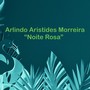 Noite Rosa