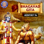 Bhagavad Gita Adhyay, Pt. 14