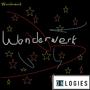 Wonderwerk