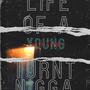 Life Of A Young Turnt Nigga (Explicit)