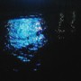 HAVEN