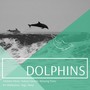 Dolphins: Ambient Music, Nature Sounds, Relaxing Piano for Meditation, Yoga, Sleep