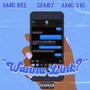 Wanna Link? (Explicit)