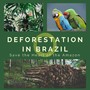 Deforestation in Brazil - Rain & Animals in the Tropical Rain Forest, Save the Heart of the Amazon