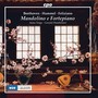 Mandolino e fortepiano