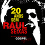 20 Anos Sem Raul