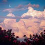 Beautiful Seen
