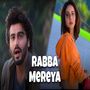 Rabba Mereya (Remix)