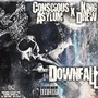 Downfall (Explicit)