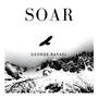 Soar