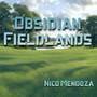 Obsidian Fieldlands (From: 