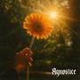 Summer Sky (feat. S.K.A)