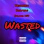 WASTED (Explicit)