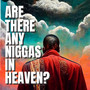 Niggas In Heaven