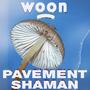 PAVEMENT SHAMAN (Explicit)