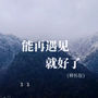 能再遇见就好了 (释怀版)