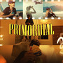 Primordial