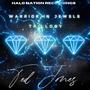 Warrior In Jewels 3: The Trillogy (Explicit)