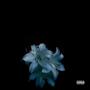 FLOWERS (Explicit)