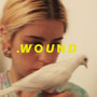 Wound