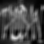taliban (Explicit)