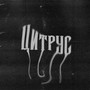 Цитрус (Explicit)