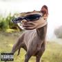 WHIPPET (Explicit)